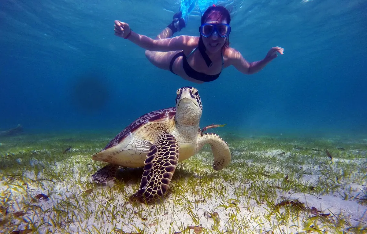 Sea turtle at Nosy Sakatia, Nosy Be Madagascar