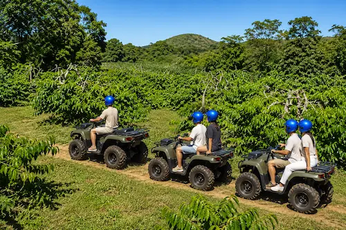 Quad Bike