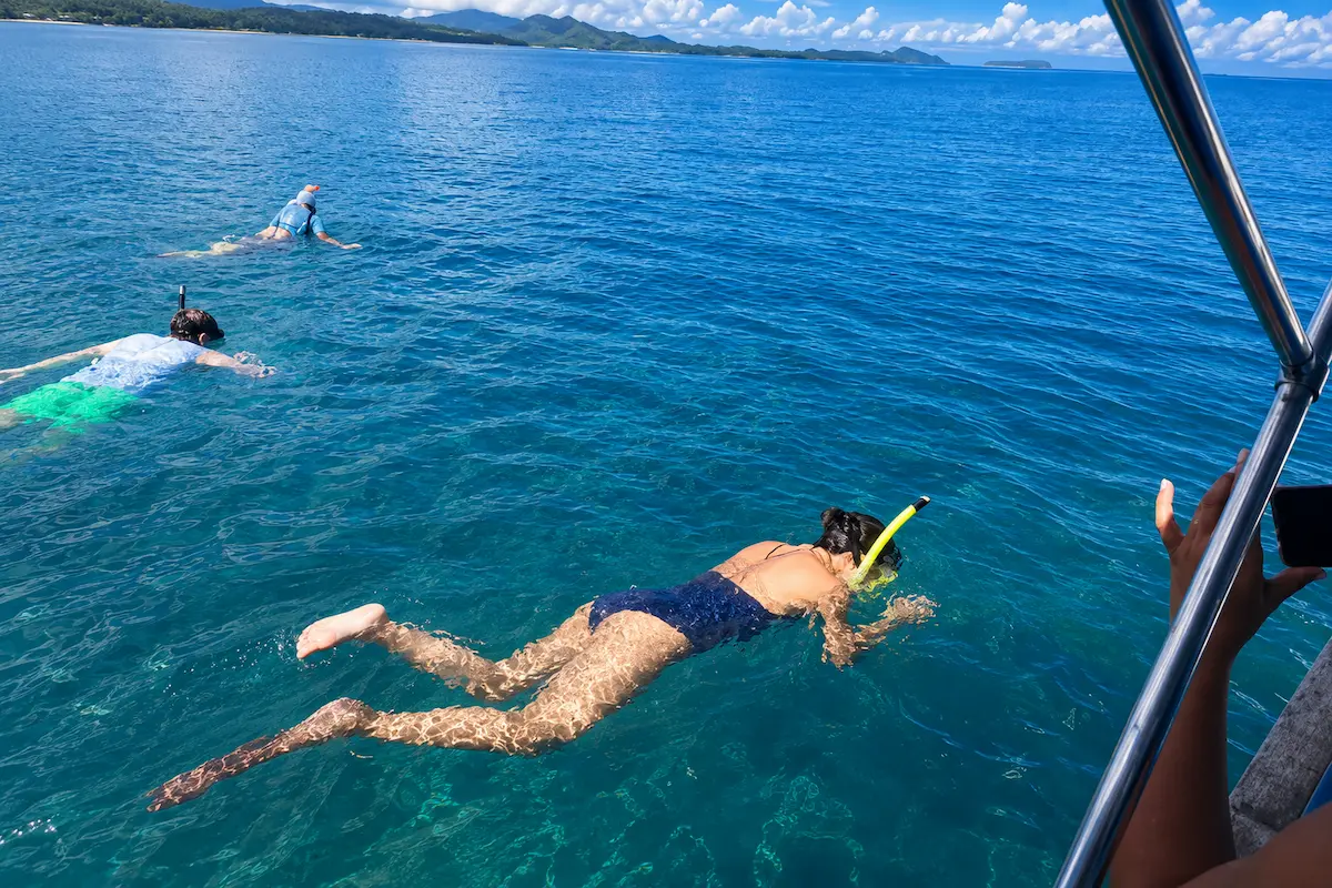 Discover marine life