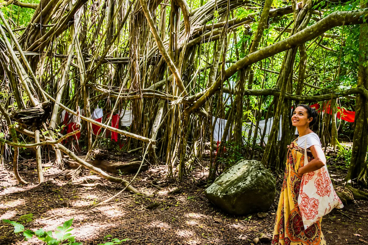 Discovering the sacred banyan forest at Mahatsinjo in Madagascar