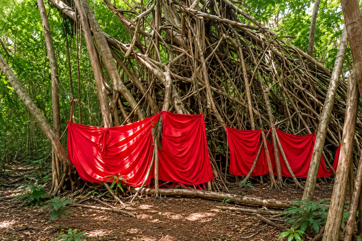 Mahatsinjo sacred banyan tree shrine in Madagascar