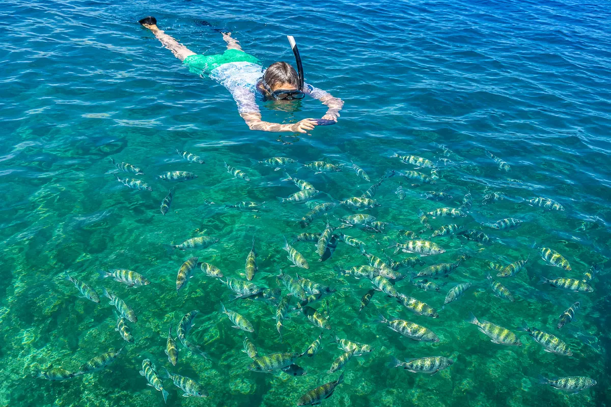 Marine wildlife experience