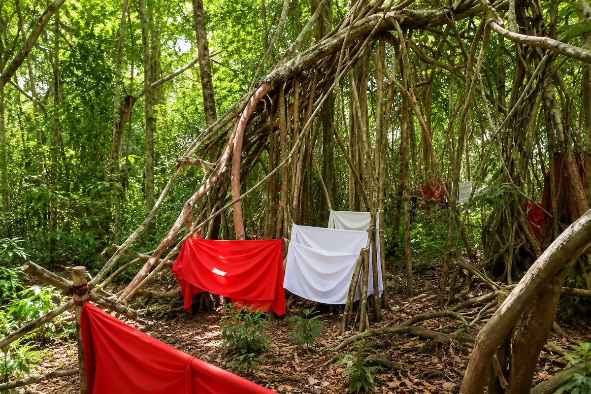 Sacred tree at Mahatsinjo in Madagascar