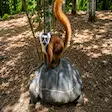 Verreaux's sifaka lemur at Lemuria Land Park in Madagascar