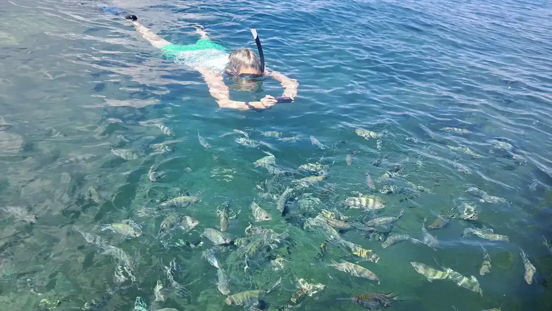 Snorkeler surrounded by colorful fish at Nosy Sakatia, Madagascar