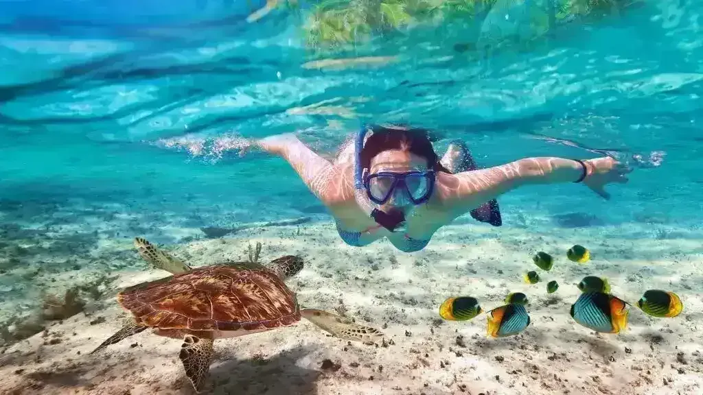 Snorkling Tour, Nosy Be Madagascar