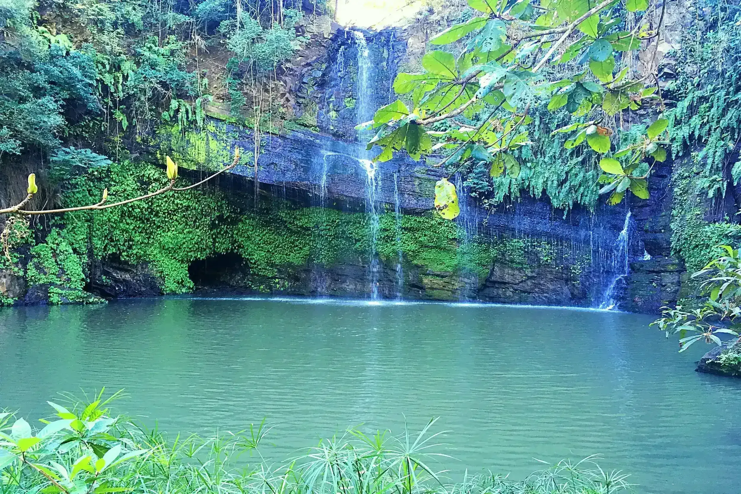 Sacred waterfall surrounded by lush forest in Nosy Be Madagascar