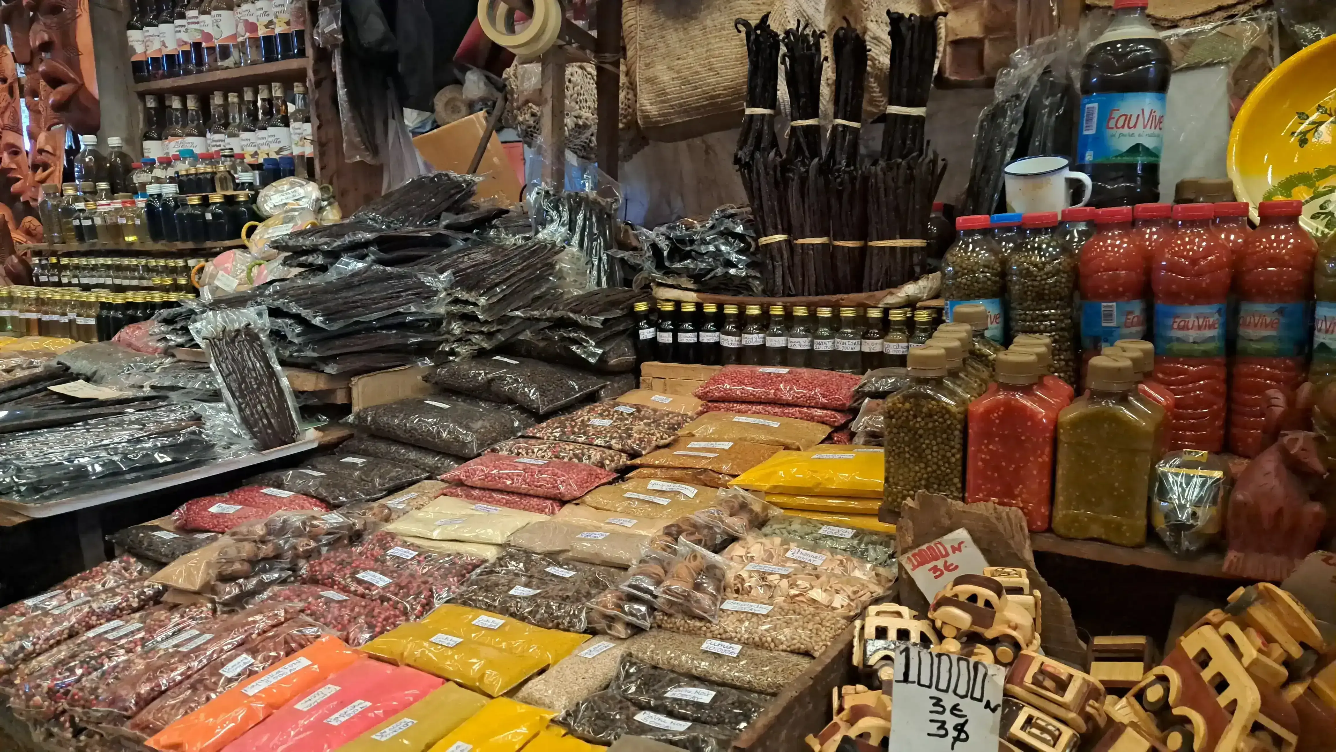 Fresh vanilla beans harvested in Nosy Be Madagascar