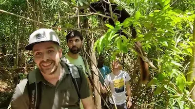 Alice Johnson profile picture